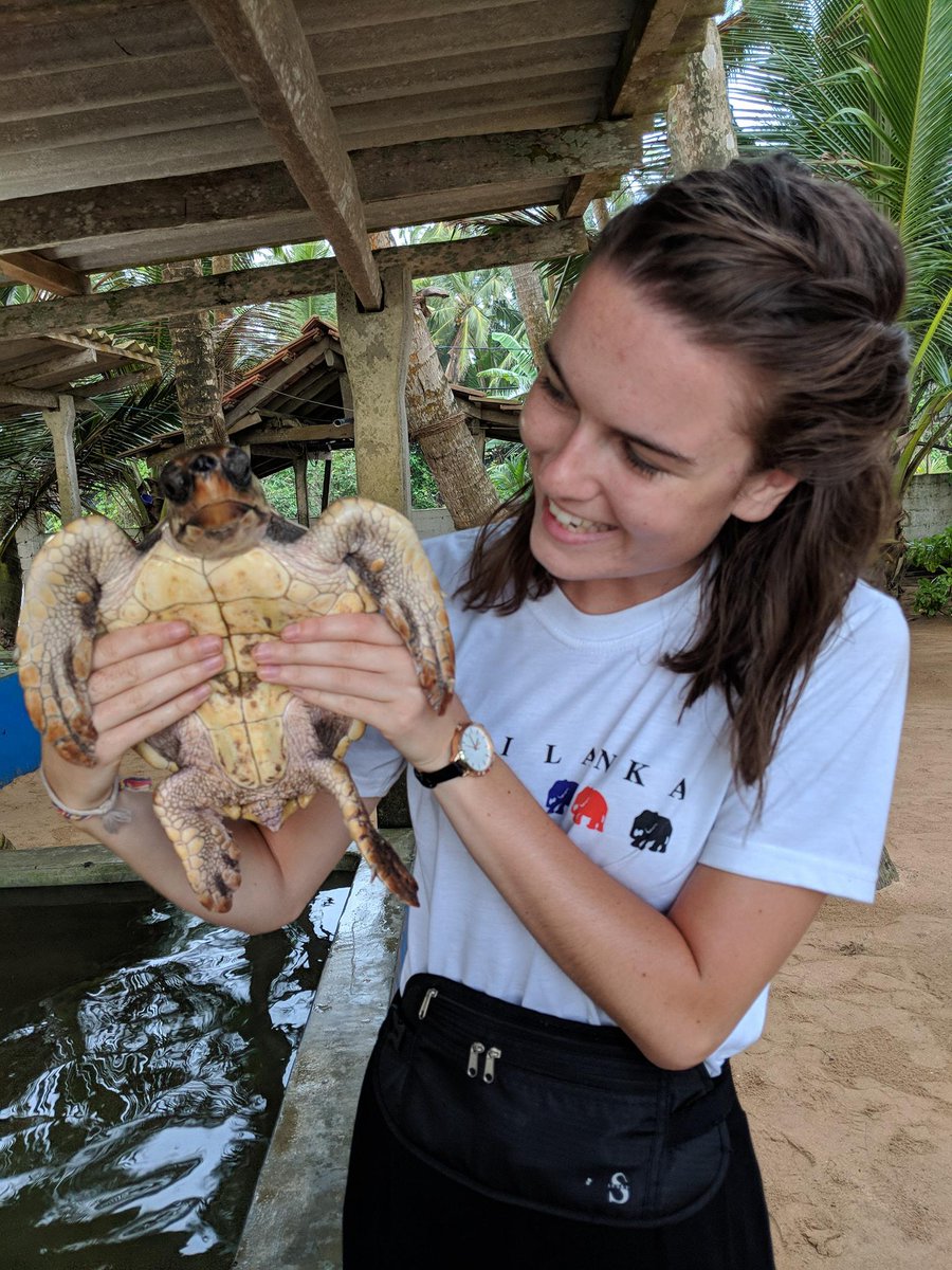 livunicareers's tweet photo. Amy is a 3rd-year nursing student from the @livuni - She recently travelled to #SriLanka on a four-week #nursing elective placement to see the differences between #healthcare in the UK and in the developing world.

Read about her amazing experience here: https://t.co/1NvojLv48B https://t.co/OBXQnkL8V3