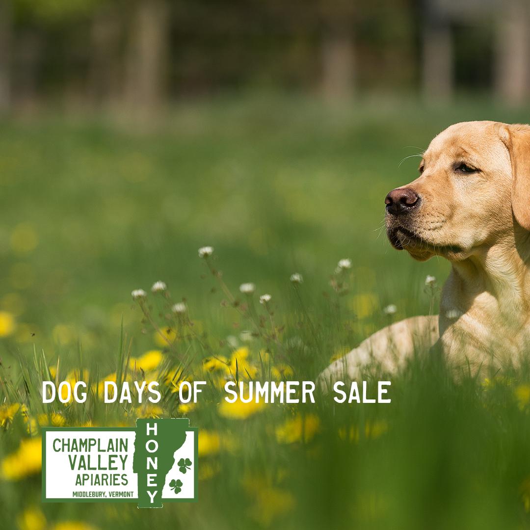 BootstrapVT's tweet image. Email is not dead! We believe that email marketing should be a core channel to reach, sell and convert customers. With Champlain Valley Apiaries, we increased revenue by 19% year over year for their summer sale. DM us to learn more.
#bootstrapvt #bootstrapmarketing #vt