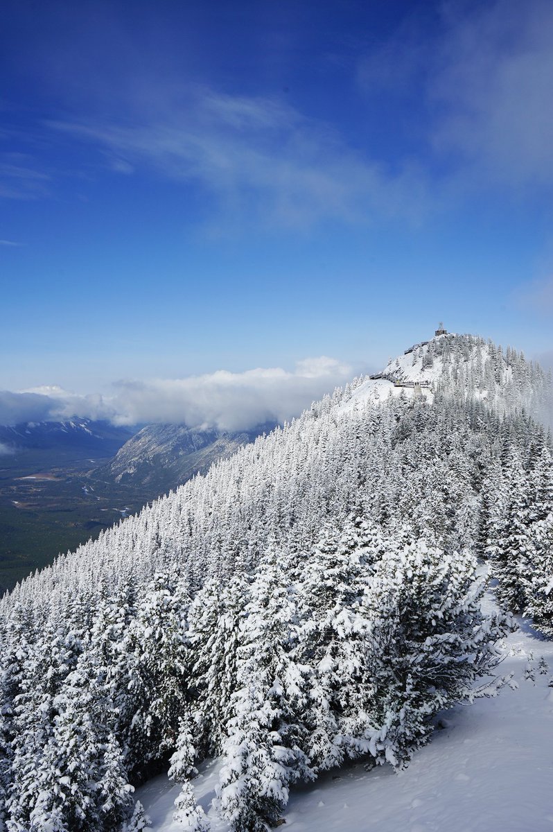 BanffNP's tweet photo. There's snowplace like @BanffNP ❄ https://t.co/MgUK6rUhvJ