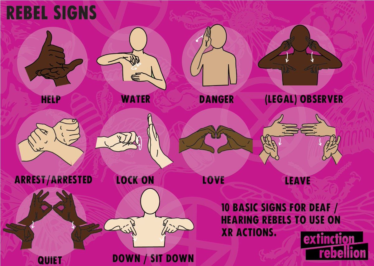 Extinction Rebellion BSL tweet media