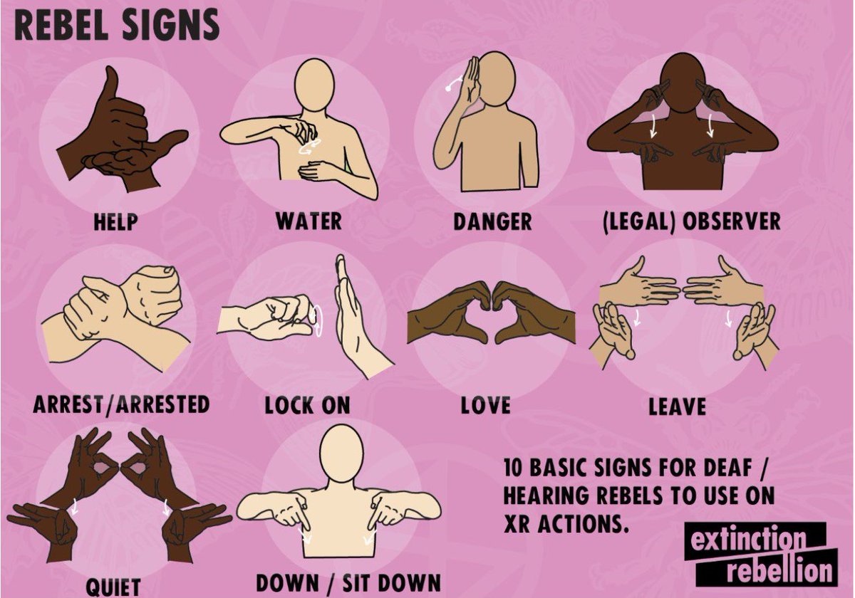 Extinction Rebellion BSL tweet media