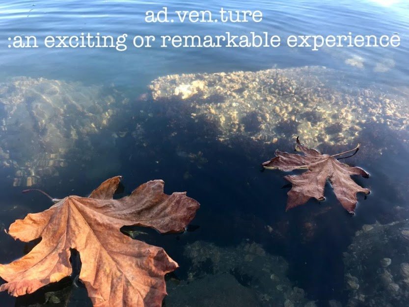 SSadventureco's tweet image. Fall has arrived! Our last day until we go on call for the season. Thank you to all of our amazing staff who helped get so many out on wonderful, amazing adventures, and to our awesome customers who are the reason we do what we do! 

#comeadventurewithus before winter hits!