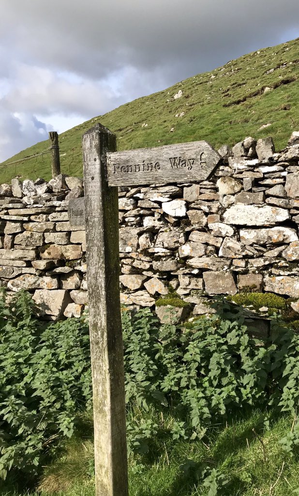 suemillerchip's tweet photo. Lovely walking the Muker loop! https://t.co/0vgNHBzihU