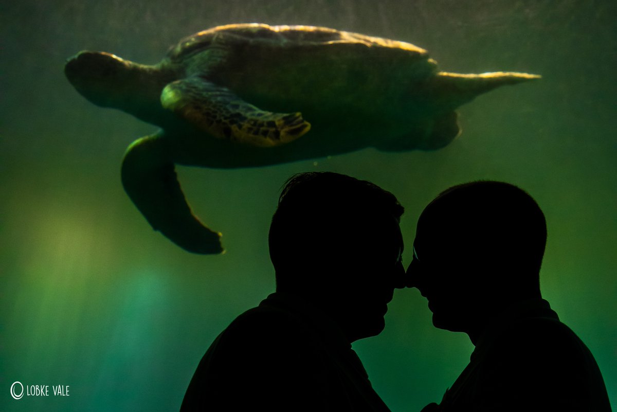 LobkeVale's tweet photo. @WildlandsNL #bruiloft #liefde #fotograferen #lobkevalefotografie #lobkestijl https://t.co/d72du71OzJ https://t.co/32jP9NseP1