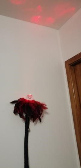 AeckmannMiki's tweet photo. Quoi de mieux qu'une bonne activité manuelle pour préparer un costume ? 😊 https://t.co/8OrT0MRiUu