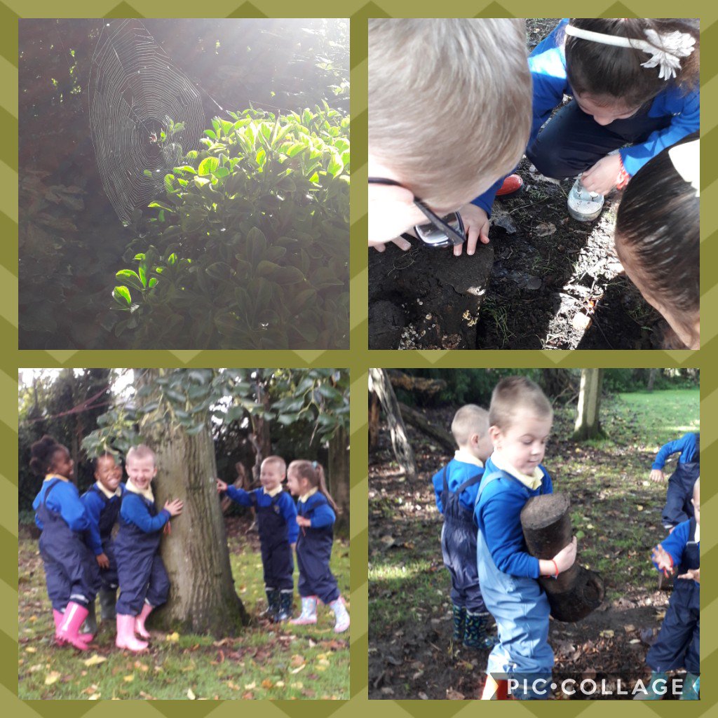 ButtonLane_'s tweet photo. Palm Trees had a busy morning in Forest School today. Spotting signs of Autumn, exploring our forest school area and the creatures we share it with, lots of games and magic wand making! 🍁🐾🐿🐦🍂 #forestschool #muddymondays #palmtrees #reception #notjustastick #welovetheoutdoors https://t.co/KMTUk0c8PH
