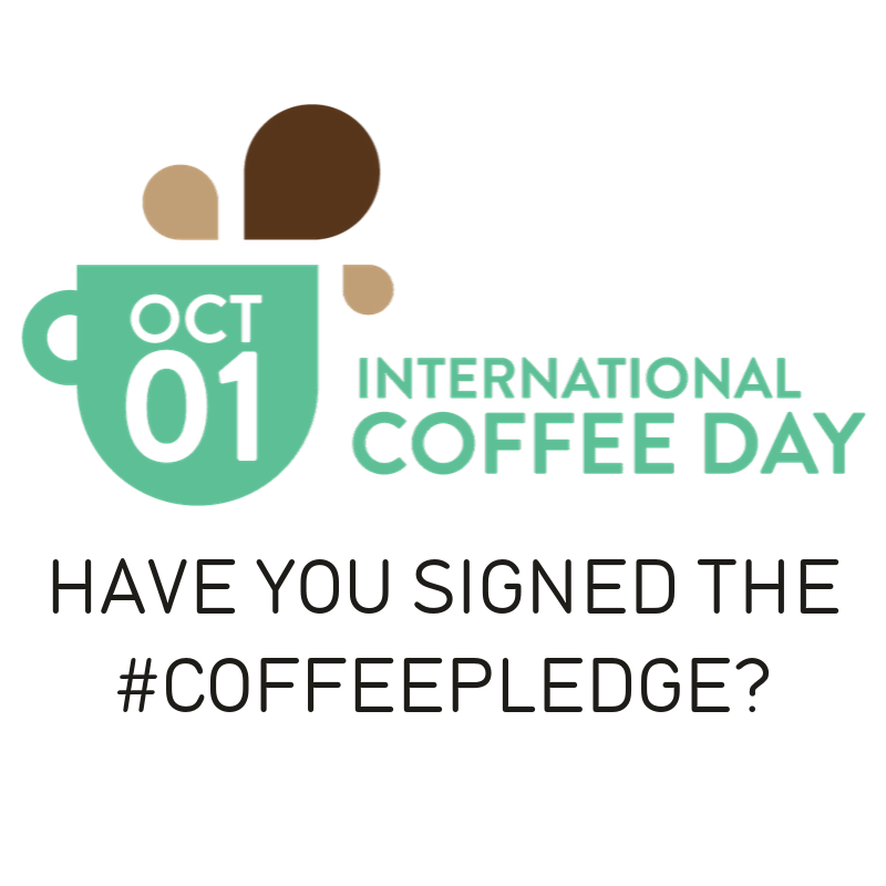 CoffeeGator tweet media