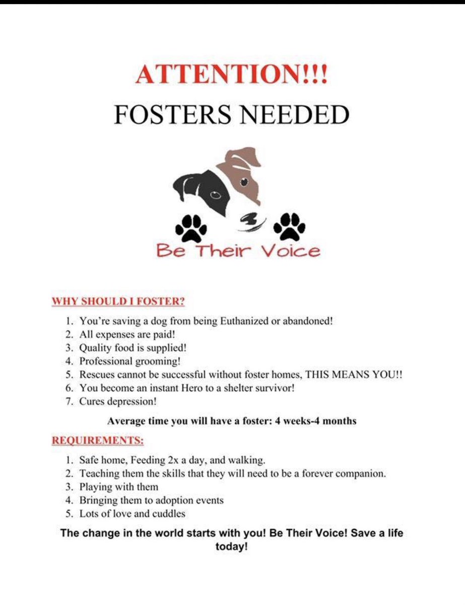 be_rescue's tweet photo. SOS!! 🆘🆘 we are in critical need for FOSTERS!!! We have dogs coming 10/3 that need temporary homes.. please fill out an application / message us for more info 🐾❤️🐾❤️ https://t.co/eQJDz7K17E