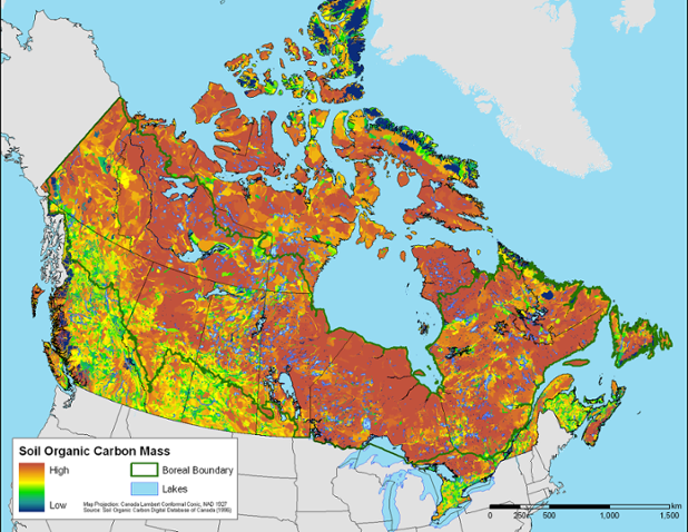 Canada’s #Boreal Forest alone holds about 12% of the world’s land-based #carbon reserves - the equivalent of up to 36 years of global carbon emissions from burning fossil fuels.  ow.ly/6Eha30kRZSb