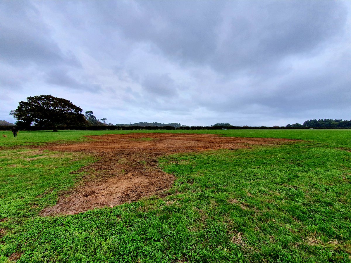And just like that <a href="/beaulieurails/">Beaulieu Rails Ltd</a> have closed all of our #PF2019 #NewForest #Archaeology trenches. You wouldn't have even known we were here! Keep an eye on nfknowledge.org/contributions/… for updates on results from us &amp; <a href="/BUARC_Archaeo/">BUARC</a>