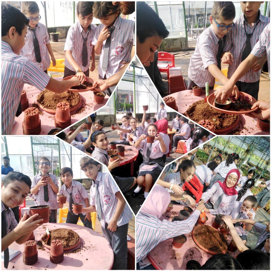 Natasha1ah's tweet image. G6 learners visited Yara&apos;s Garden to learn more about types of reproduction and to differentiate between them. At the end of their visit they planted cucumber seeds and Iresine herbstii plant to apply what they have learned.
@MakAishaSchool #learningthroughdoing
