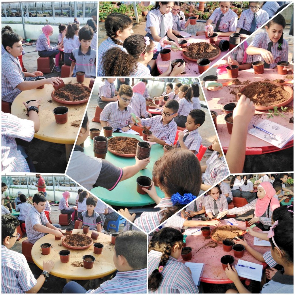 Natasha1ah's tweet image. G6 learners visited Yara&apos;s Garden to learn more about types of reproduction and to differentiate between them. At the end of their visit they planted cucumber seeds and Iresine herbstii plant to apply what they have learned.
@MakAishaSchool #learningthroughdoing