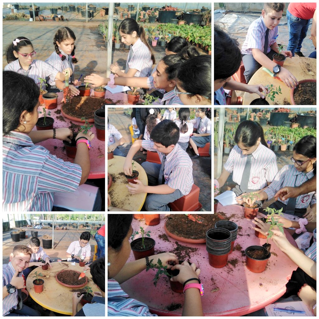 Natasha1ah's tweet image. G6 learners visited Yara&apos;s Garden to learn more about types of reproduction and to differentiate between them. At the end of their visit they planted cucumber seeds and Iresine herbstii plant to apply what they have learned.
@MakAishaSchool #learningthroughdoing