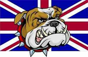 BeeAHoney_'s tweet photo. @EndHowards @BorisJohnson Keep #BulldogSpirit alive. #PeoplesPrimeMinister 
#GetBrexitDoneNow #WTO31stOct2019 https://t.co/x0lgVC24Sn