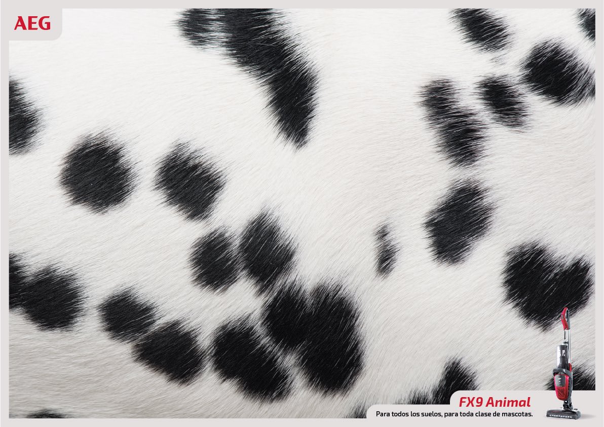 Singular_One's tweet image. Ya seas el mejor amigo de un tigre de bengala o una llama… En una casa con la aspiradora FX9 se mantienen los pelos a raya. 👏

Así de "animal" luce nuestra última campaña gráfica para el equipo de @AEG_Esp 

¿No te entran una ganas tremendas de acariciar la pantalla?