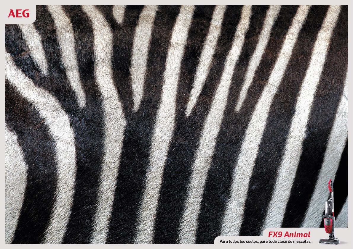 Singular_One's tweet image. Ya seas el mejor amigo de un tigre de bengala o una llama… En una casa con la aspiradora FX9 se mantienen los pelos a raya. 👏

Así de "animal" luce nuestra última campaña gráfica para el equipo de @AEG_Esp 

¿No te entran una ganas tremendas de acariciar la pantalla?