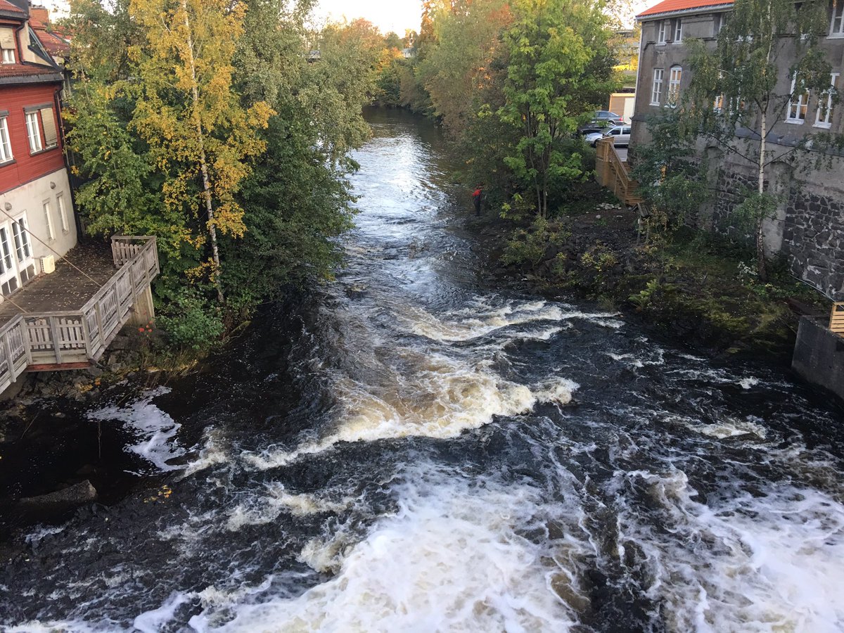 My favorite passing, walking to our #DellTechnologies office in Norway #IWork4Dell
