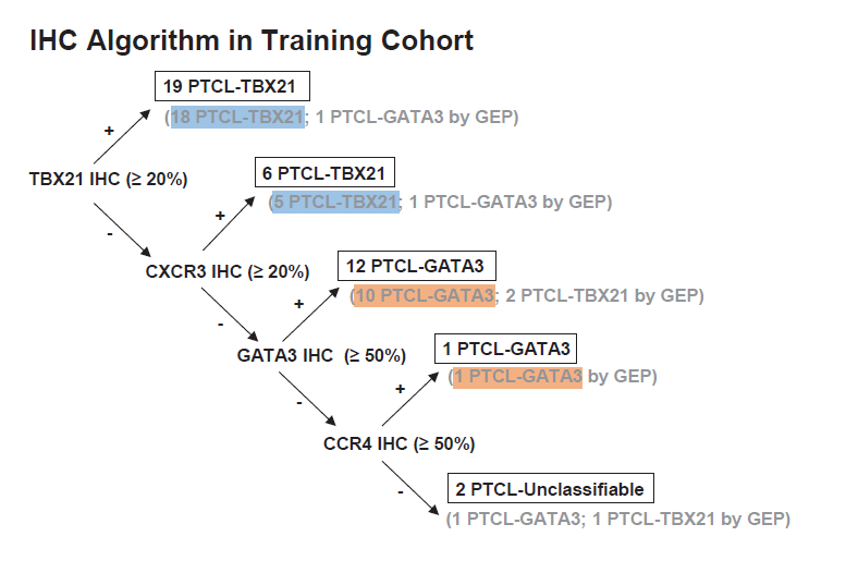 evemariecrane's tweet image. ~1/3 of T-cell #lymphoma fall into PTCL, NOS category. 
@CAmadorMD &amp;amp; #hemepath #dreamteam from the LLMPP consortium provide an IHC diagnostic algorithm for prognostic GATA3 and TBX21 subtypes. They also have distinct morphologic features. 🙏Testing it out! bloodjournal.org/content/early/…