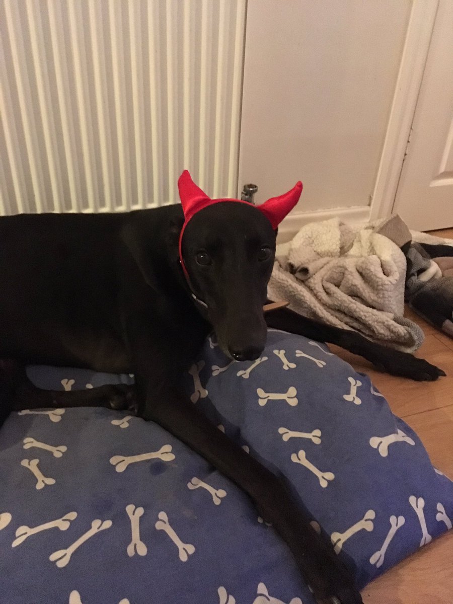 EmilesEske's tweet photo. Trying on Halloween costumes 😈 https://t.co/dSbLaOAUwz
