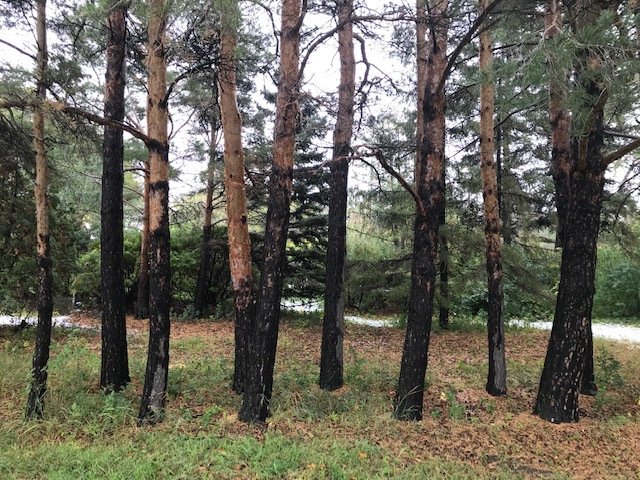 Creative Practice #3- Snowy Park esthermaeers.wordpress.com/2019/09/30/cre…