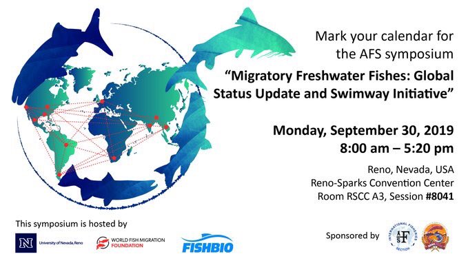 Fishbiology's tweet image. In the morning talks of the #MigratoryFish Session at #AFS149, Arjan Berkhuysen from @fishmigration noted that, compared to other species, #freshwaterfish are “unknown, unloved, and quietly disappearing.” Come show your freshwater fish love - join us later today!