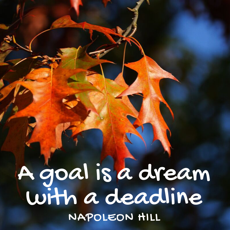 FreeClinicWI's tweet photo. What's your goal for today? For this week? For this season?
#MotivationMonday https://t.co/SQ01kEftYJ