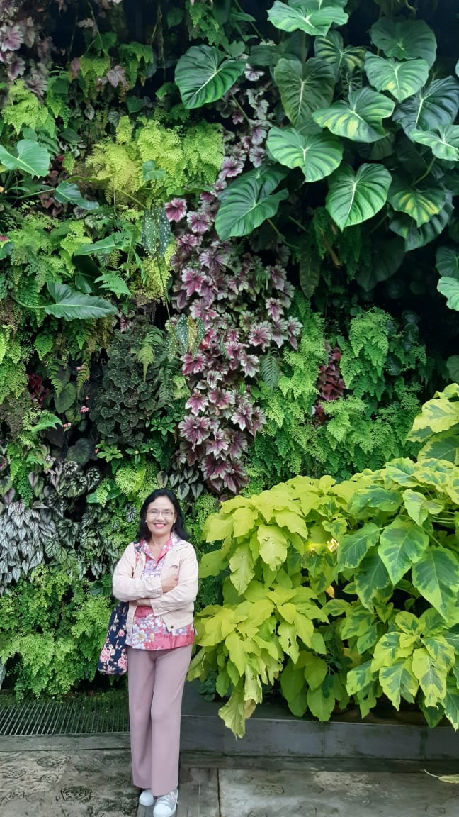 roosmawar's tweet photo. Garden by the bay https://t.co/wB1HLCHijv