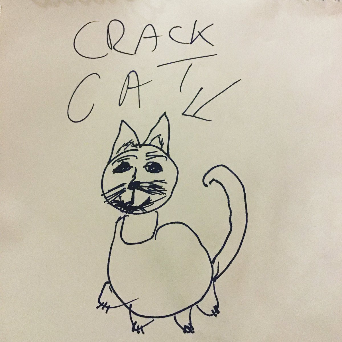 specialm_shasha's tweet image. Ok...I guess it’s official...what started as my Mom’s interesting doodle request of a cat, has now turned into apparently my new mascot #allhailcrackcat #crackcat THESE MEMES EVERYONE MADE! I CANT!! 🤣🤣🤣😭🤣💕😻😺