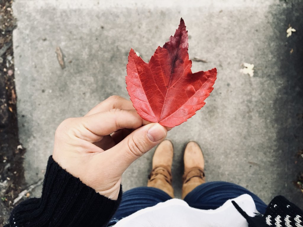 Fall Wellness nicolehragyil.com/2019/09/30/fal…