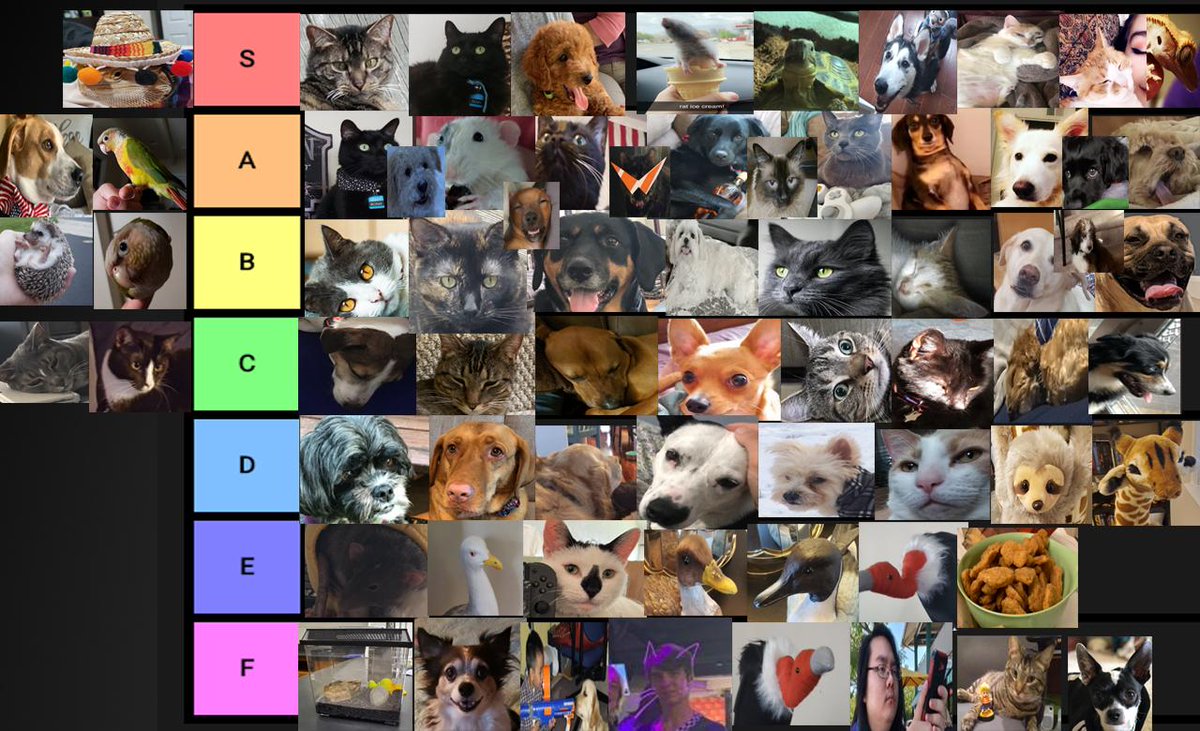 The Dog Tier List 