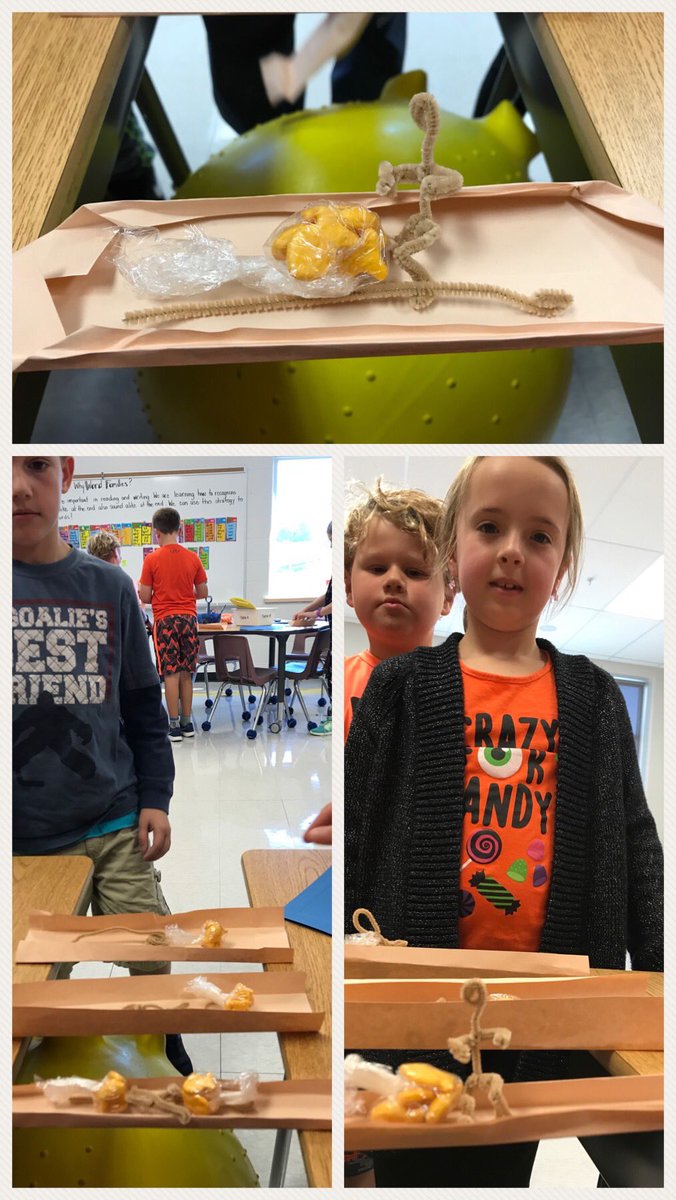 Birgit Sievert, OCT tweet media