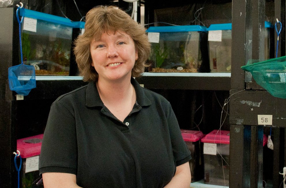CulumBrown's tweet photo. Mourning the loss of fellow fish hugger Victoria Braithwaite who died from cancer yesterday. A valiant fighter for fish welfare. https://t.co/IREsQExVKl