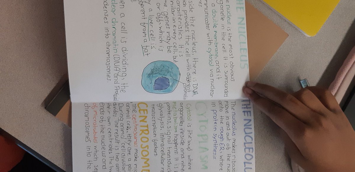 ScienceShimmers's tweet photo. #grade007 are working on final projects (movies, posters, comics, collector cards etc.) On their cells unit #rnsscience #RNSsteam #creativity #cohort21 #middleschoolersarethebestschoolers #iteach678 https://t.co/8IoZURh7yp