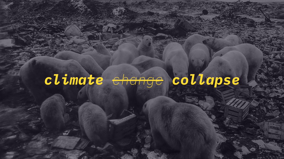 Matteo Menapace 🍉 tweet media