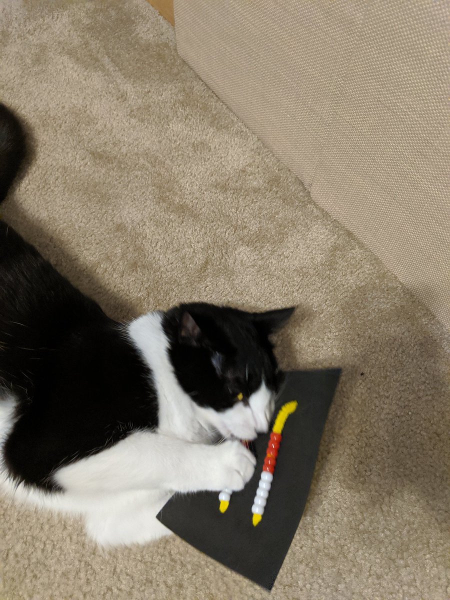 KatlinSnodgrass's tweet photo. A few weeks ago we made rekenreks in math class. Tonight, my cat decided she wanted to learn to count too 😂 @smileymathsteen https://t.co/yHrQCNsb1R
