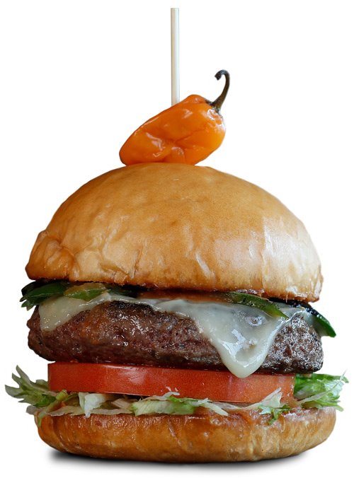 becomeacasa's tweet photo. Come join us at Grub for the Grub gives back event! On October 3rd a portion of the sales go to CASA. All you have to do is mention CASA of the Coastal Bend at the counter or over the phone. Visit the Facebook event page for details https://t.co/zHm6uO9ZLX https://t.co/s4qzqxaKzI