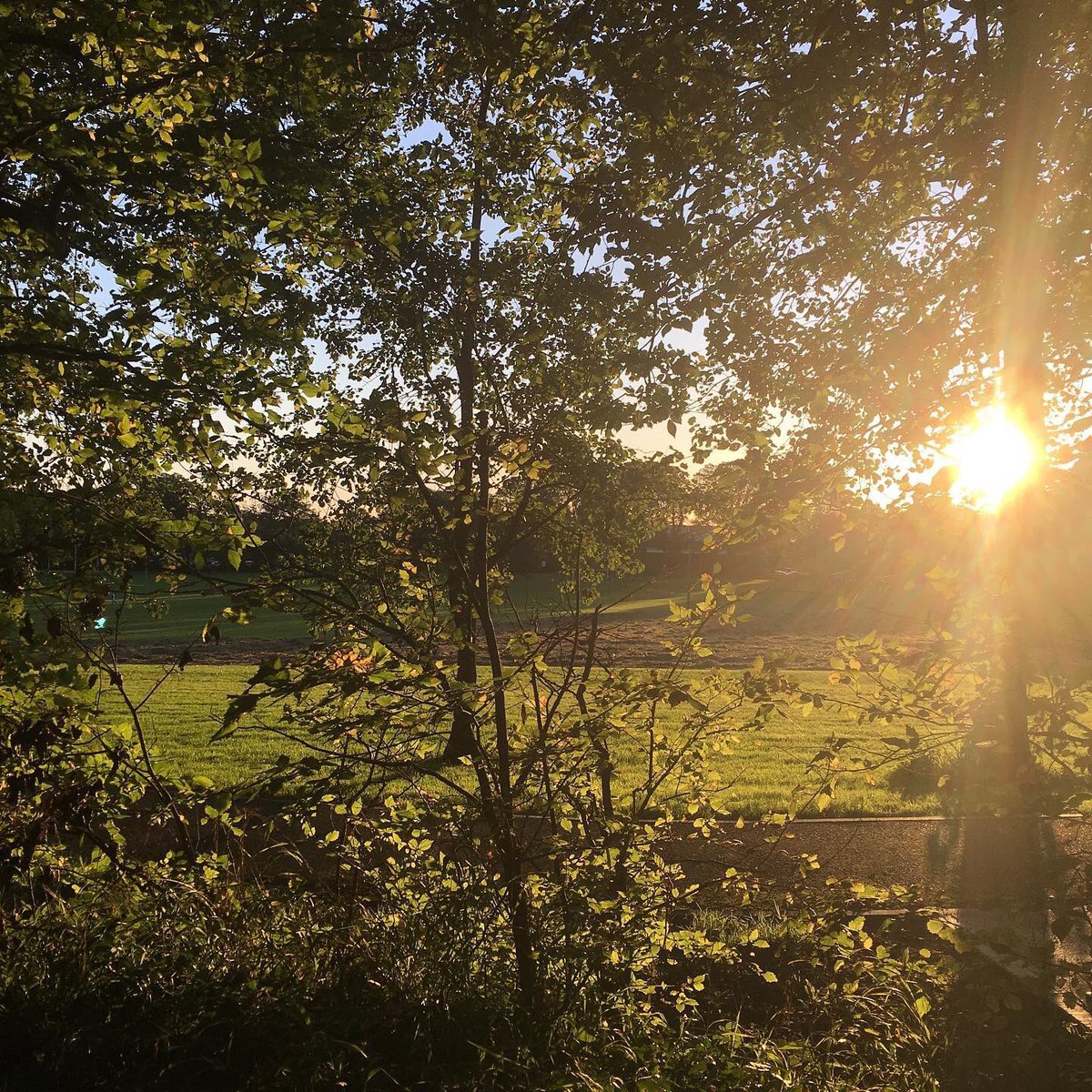 perfectpairsKY's tweet photo. Congrats Listowel Tidy Towns GOLD MEDAL WINNER 2019 🥇.. wouldn’t doubt u....we are so blessed to live here &amp; you make it all the better every day!! 👏🏻👏🏻👏🏻👏🏻👏🏻👏🏻@perfectpairsKY @WAW_NorthKerry @ListowelTT @LoveListowel @radiokerrynews @kerryman_ie @Kerrys_Eye https://t.co/Zrr183G2EA