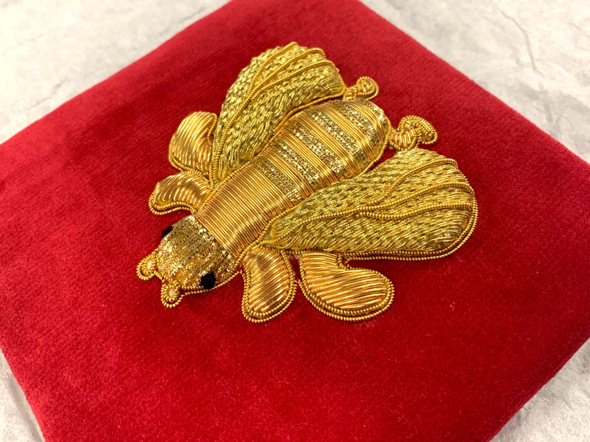 SFSNAD's tweet photo. October Newsletter : Buzz buzz buzz - https://t.co/CeWcrAFpzh https://t.co/PFqRiDiaU3