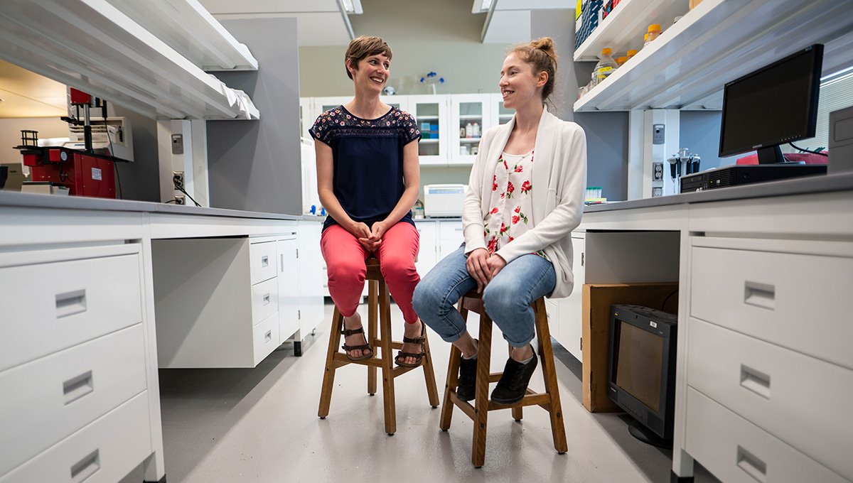 CarletonScience's tweet photo. The #BruinLab at @Carleton_U, led by @bruinjenny1, seeks to understand how environmental factors, like exposure to pollutants or viruses, may contribute to the development and onset of #diabetes. Learn more about this fascinating @cu_research at https://t.co/30pJuSdPtc. https://t.co/hraoSfeuI1