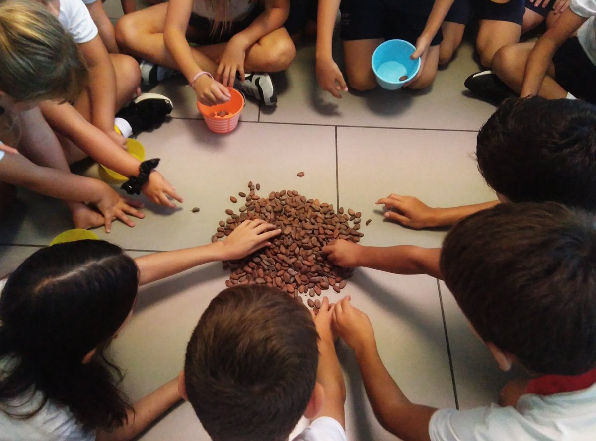 maestrasdelsur1's tweet photo. Unidad de millar. Encontrarse con mil semillas de cacao y 10 botes y tener q repartir. Ninguna indicación más. 
Solo puedo deciros que ha sido un espectáculo ver cómo han llegado al concepto #trabajocooperativo #proyectos #enelsuelosiempreesmejor https://t.co/WgKpjyMlMy