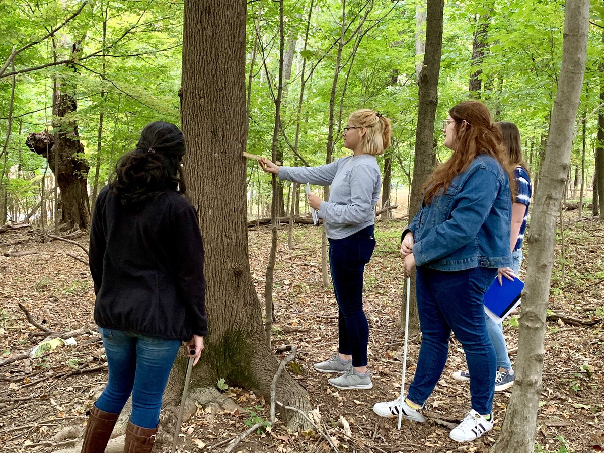 GrayFeist's tweet photo. #Forest inventory! #EcologyLab https://t.co/o9ZvpVCb6g @FDUWhatsNew #myfdu https://t.co/i0fnTOjXgl