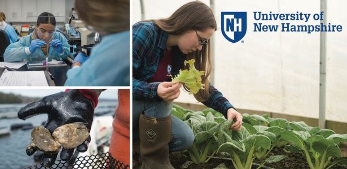 Join Us for <a href="/UofNH/">University of New Hampshire</a> Food and Agriculture Day Nov. 7 <a href="/UNHinnovation/">UNHInnovation</a>
<a href="/NHFarmBureau/">NHFB</a> <a href="/NHFarmBureauFed/">NHFBF</a> <a href="/COLSA_UNH/">COLSA</a> <a href="/UNHExtension/">UNH Extension</a> @UNHPrez <a href="/Wayne_E_Jones/">Wayne Jones</a> <a href="/AgricultureNH/">AgricultureNH</a> <a href="/NHEconomy/">New Hampshire BEA</a> <a href="/BIAofNH/">BIA of NH</a> <a href="/NewEnglandFU/">NEFU</a>

colsa.unh.edu/nhaes/article/…