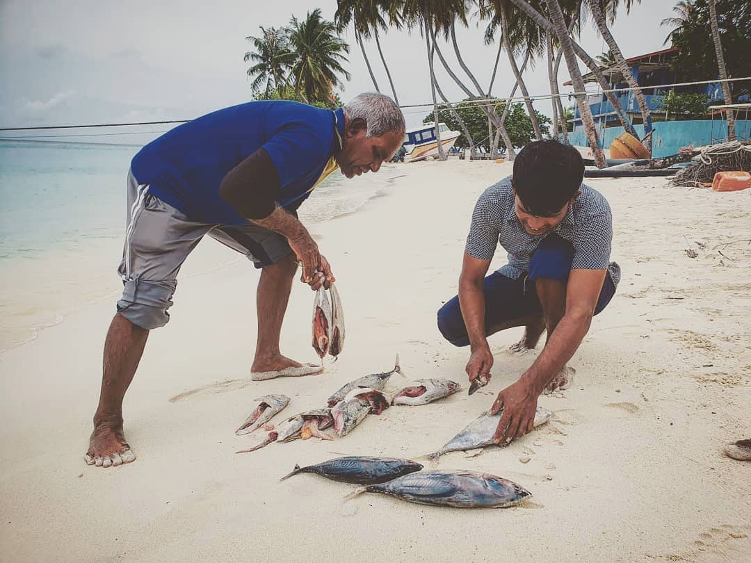 amphibuzz's tweet photo. Local fishermen in Thulusdhoo 🎣
Photo credit: mario.l.andretti 
#indianocean #Maldives #tropics #travel #seasonactivities #islands #Thulusdhoo #beach #fishermen https://t.co/h5qn3QsXPB