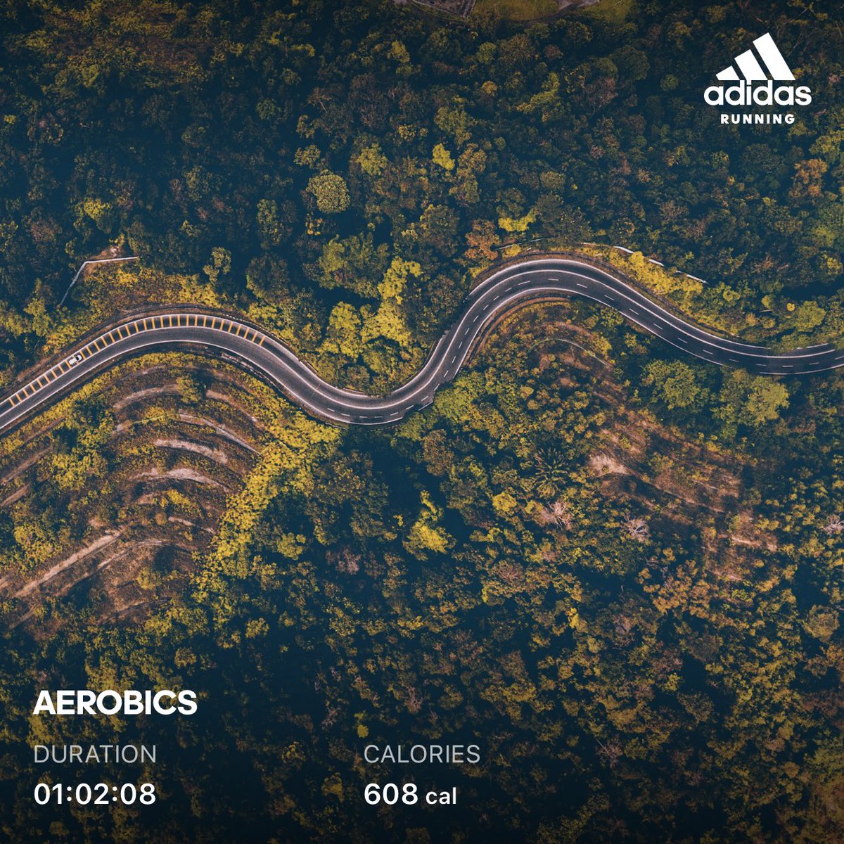 cathchat's tweet image. 