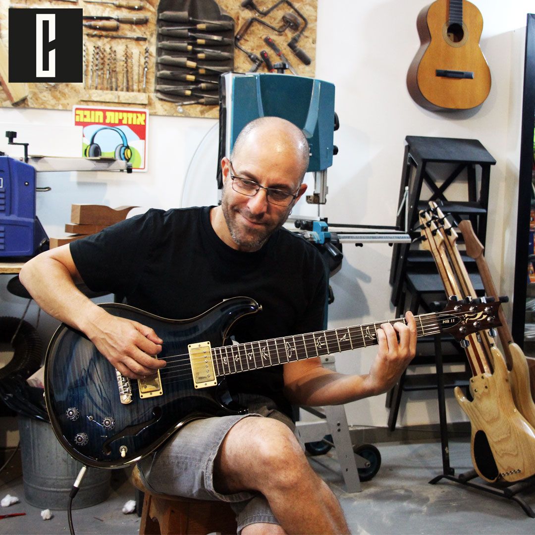 Coils Boutique Pickups on Twitter "This is the 🎸PRS HB II 25th