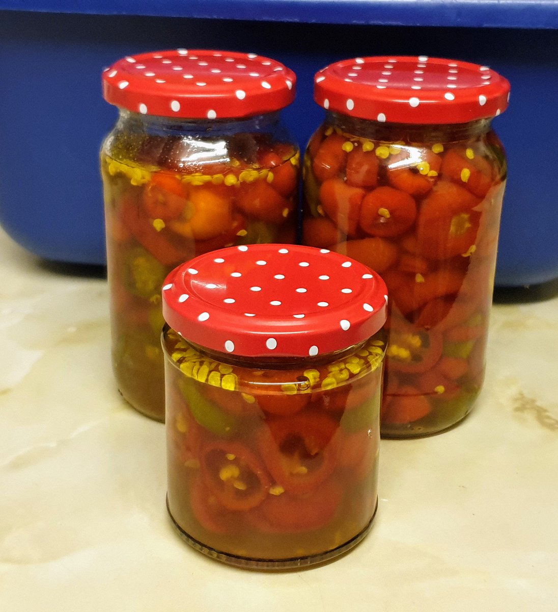 KellyWoodroffe's tweet photo. A busy day in the kitchen today.
Cowboy Candy for @BernieHough
2 cakes for the beginning of McMillan Coffee Morning Week at work.
Batch of Jamie Oliver's 7 Veg Sauce for tea and 2 pots for the freezer #itsnotallaboutchillies
#baking #chillies #makingmyown #mcmillancoffeemorning https://t.co/CUR9nZmbqc