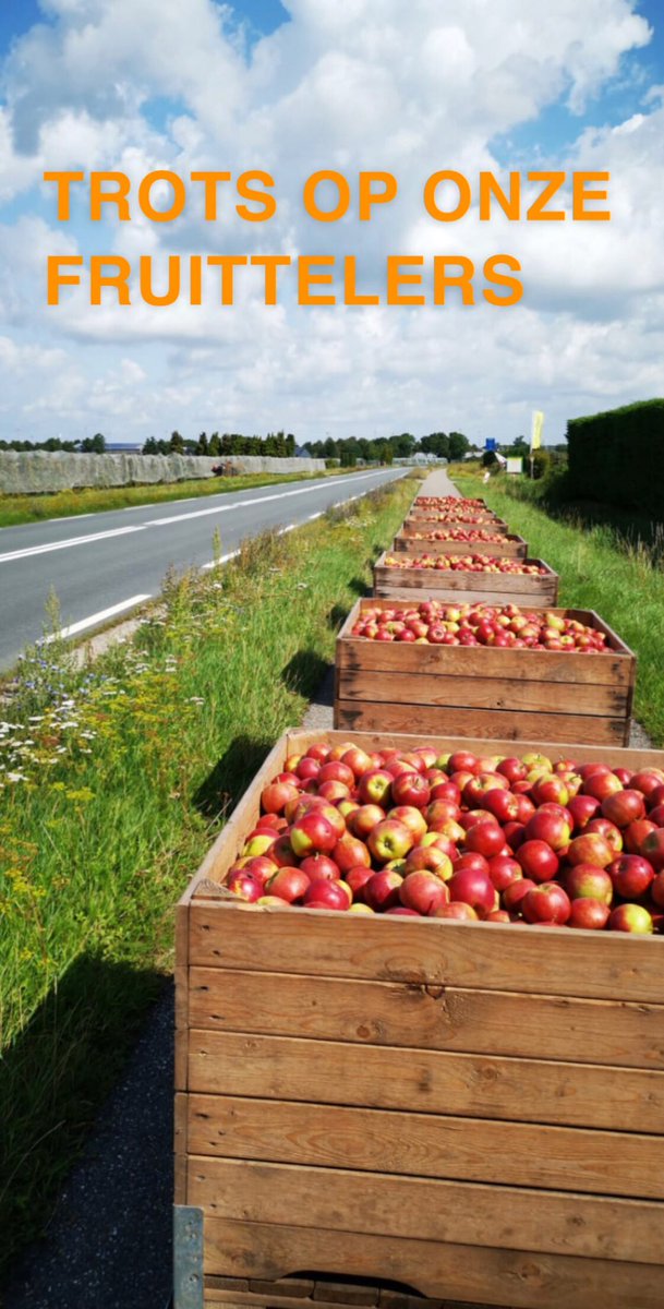 Roelofsbomen's tweet photo. https://t.co/vj5r9aCoBR