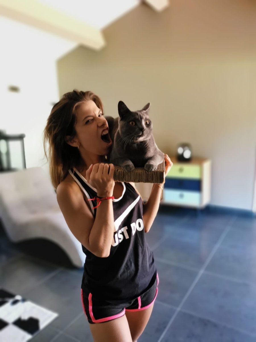 Oceane Tu Pues Le Chat Ce N Est Pas Ta Faute Shelly Cat Friends Netflixfr