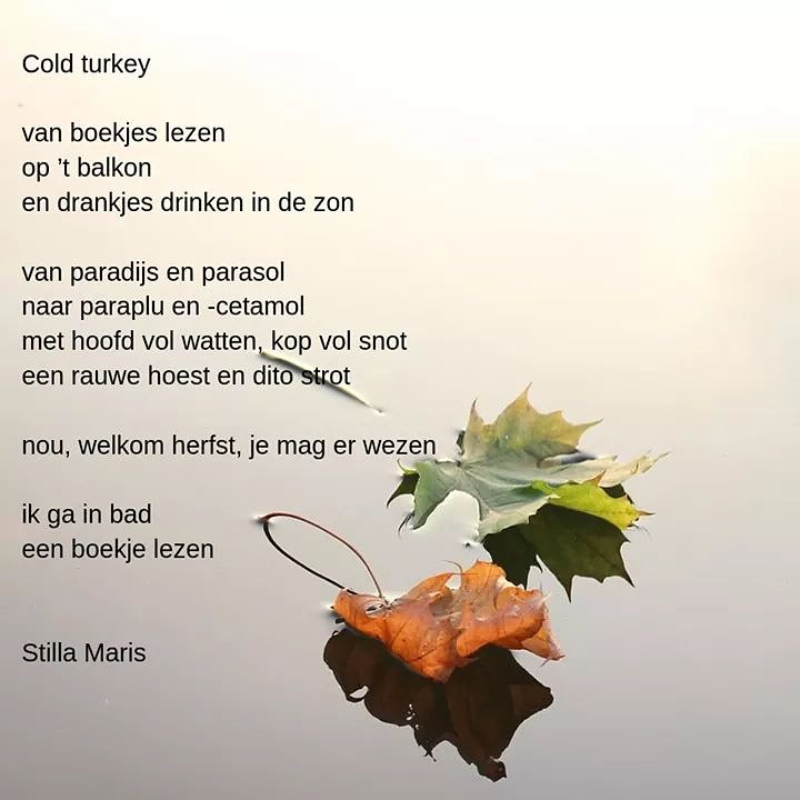 Paraplu en -cetamol en nr 91 van het eindeloze project 😅 #herfst #snot #gedicht #gedacht