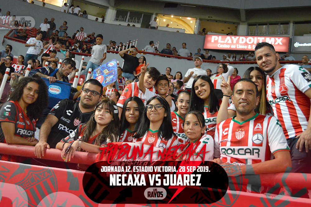 Como de costumbre haciendo un gran partido desde la tribuna <a href="/MireyaArambula/">Mireya Arámbula 🇲🇽✨</a> <a href="/arelydeanda11/">Arely_DeAnda</a> <a href="/Teleza15/">Tessa✨️</a> y compañia.  Lamentablemente por enfermedad <a href="/normaangelicalo/">norma  lopez</a> no fué convocada y no salió ni a la banca, según reporte médico estará lista para la jornada 14 vs America. ¡Gracias!